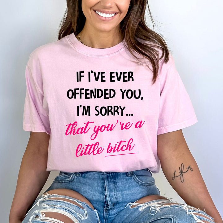 "IF I'VE EVER OFFENDED YOU" Bella Canvas