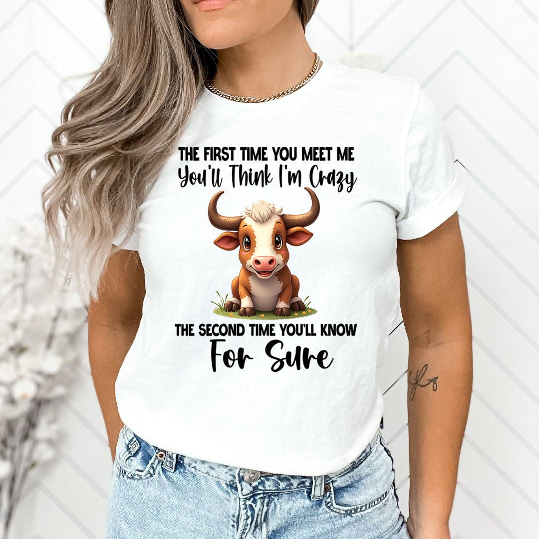 You'll Think I'm Crazy For Sure - Unisex T-Shirt