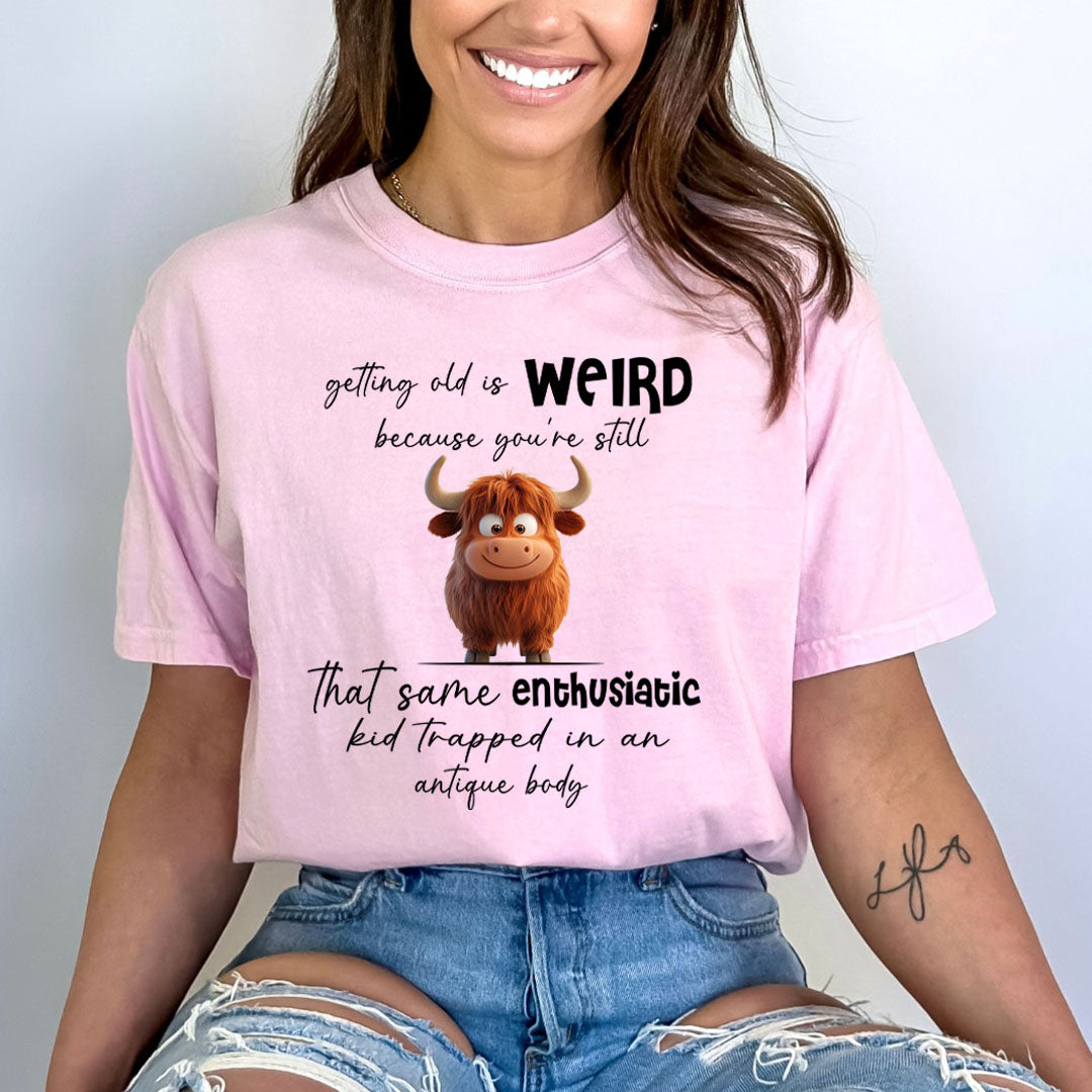 Getting Old Is Weird  - Bella canvas