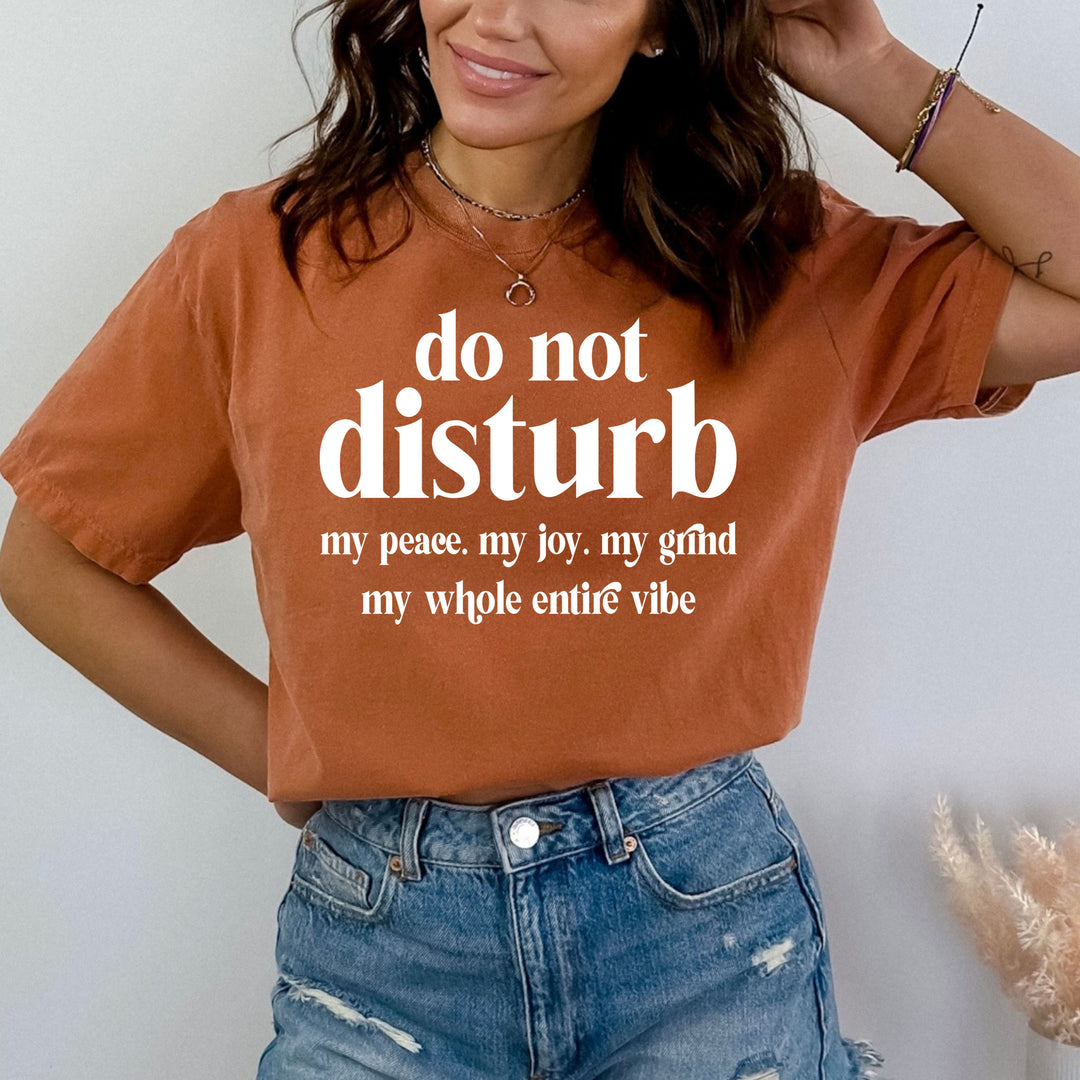 Do not Disturb My Peace - Bella canvas