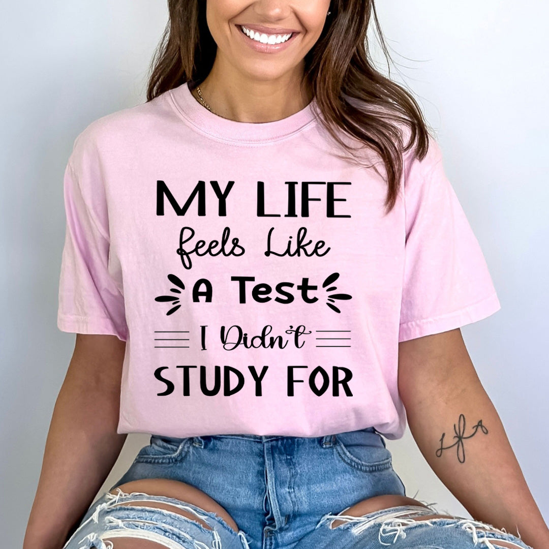 My Life Feels Like A Test - Bella canvas