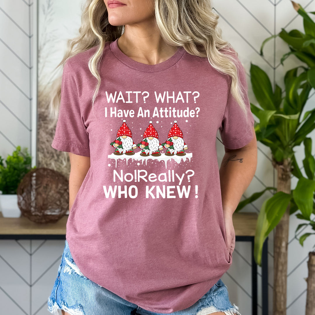 I Have An Attitude ? No Really- Bella canvas