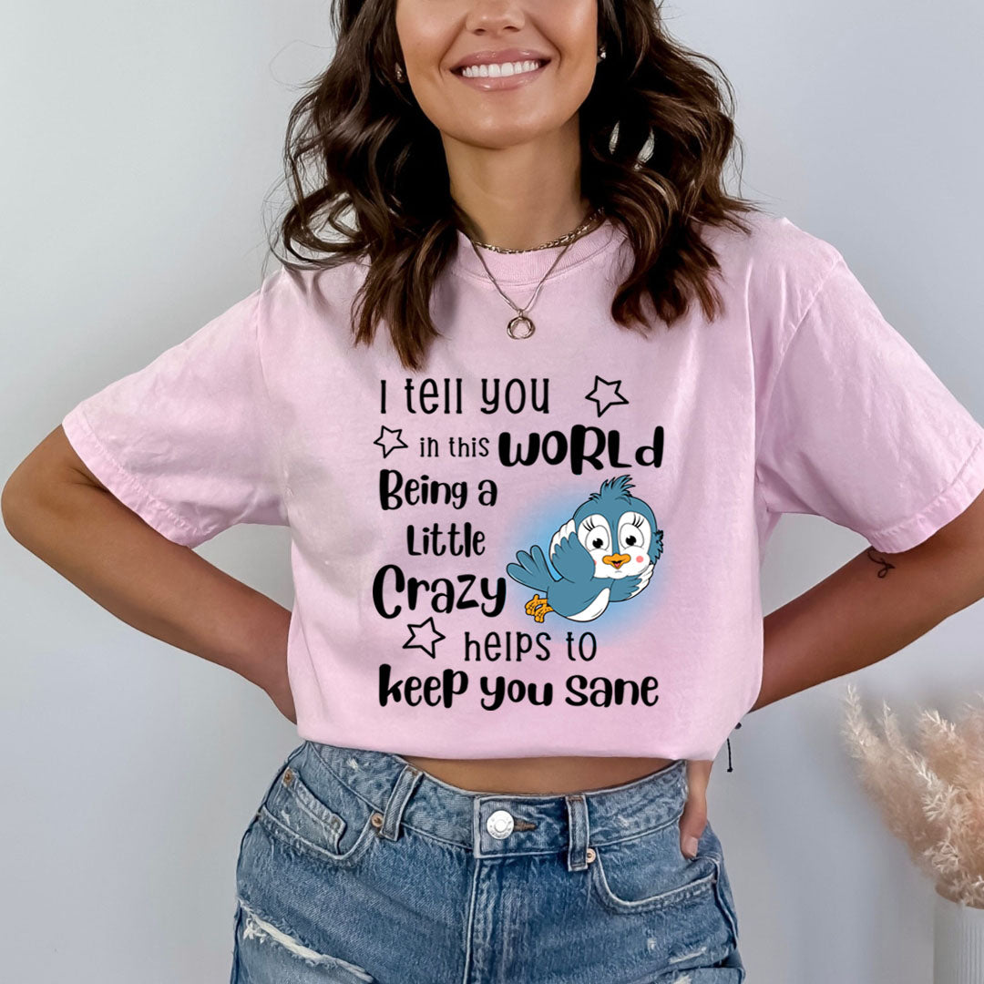 Being A Little Crazy - Bella canvas