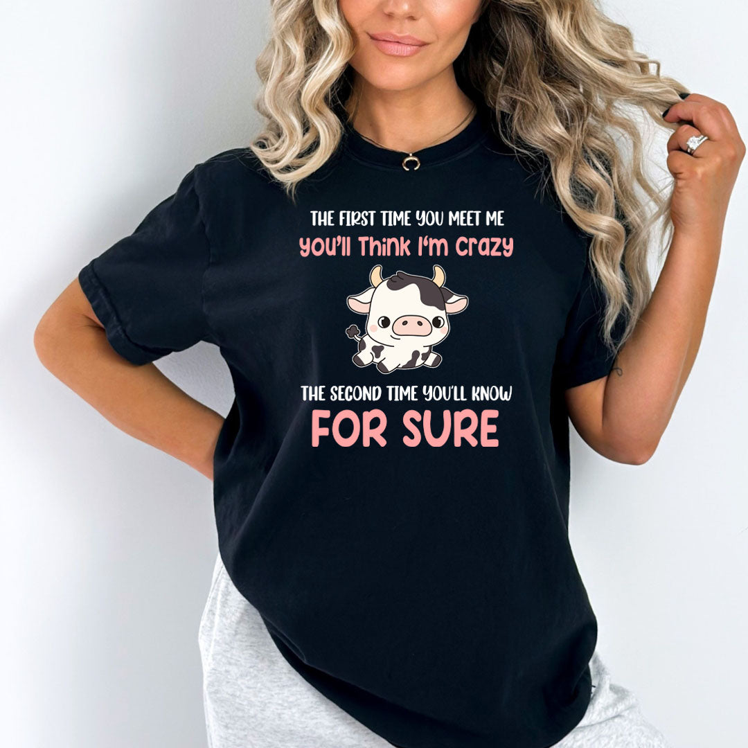 You'll think I'm Crazy - Bella canvas
