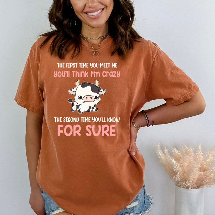 You'll think I'm Crazy - Bella canvas