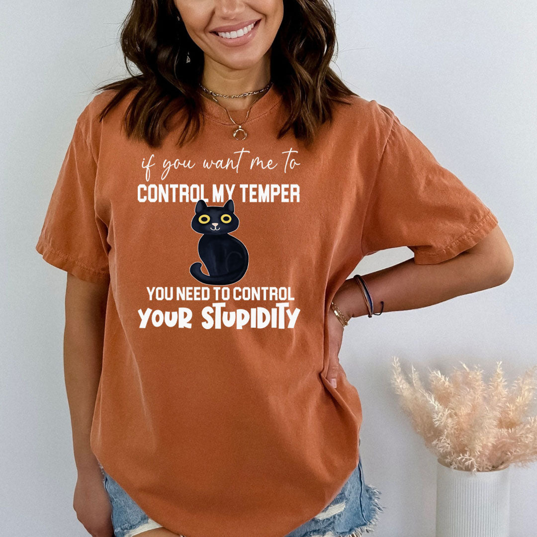 You Need To Control Your Stupidity  - Bella canvas