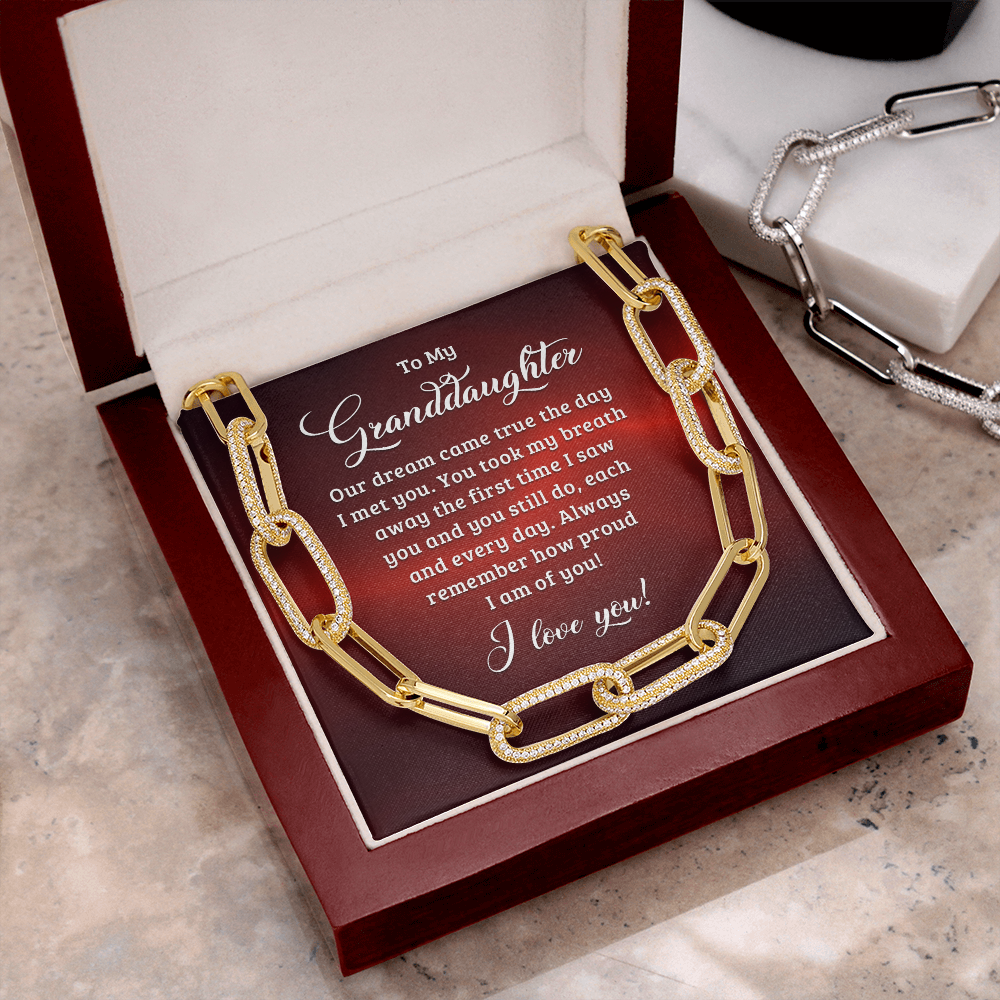 To My Granddaughter - Our dream came true the day I met you Forever Linked Necklace