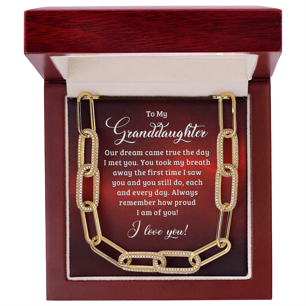 To My Granddaughter - Our dream came true the day I met you Forever Linked Necklace