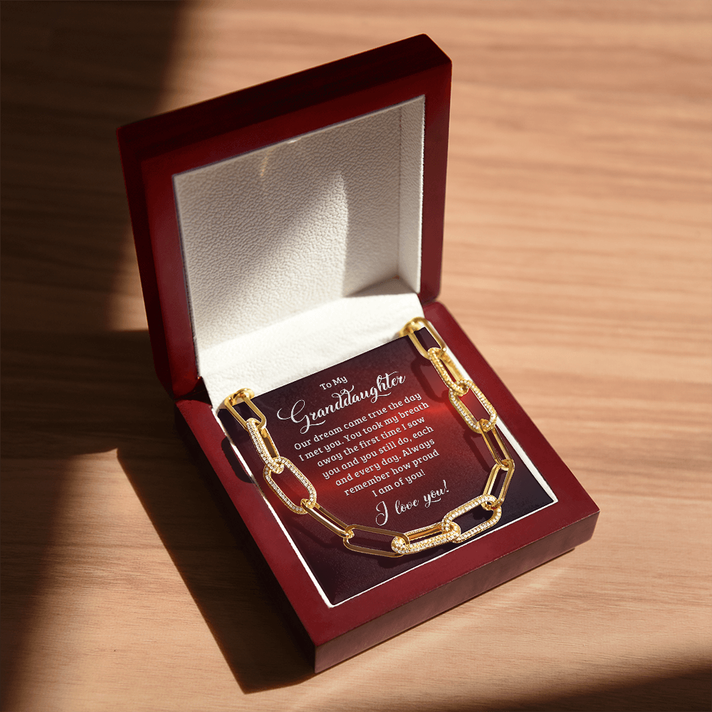 To My Granddaughter - Our dream came true the day I met you Forever Linked Necklace