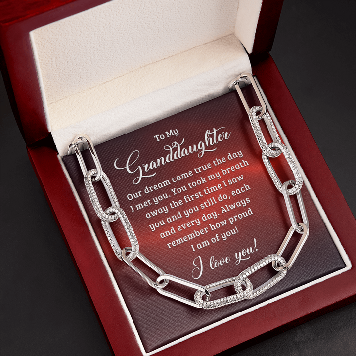 To My Granddaughter - Our dream came true the day I met you Forever Linked Necklace