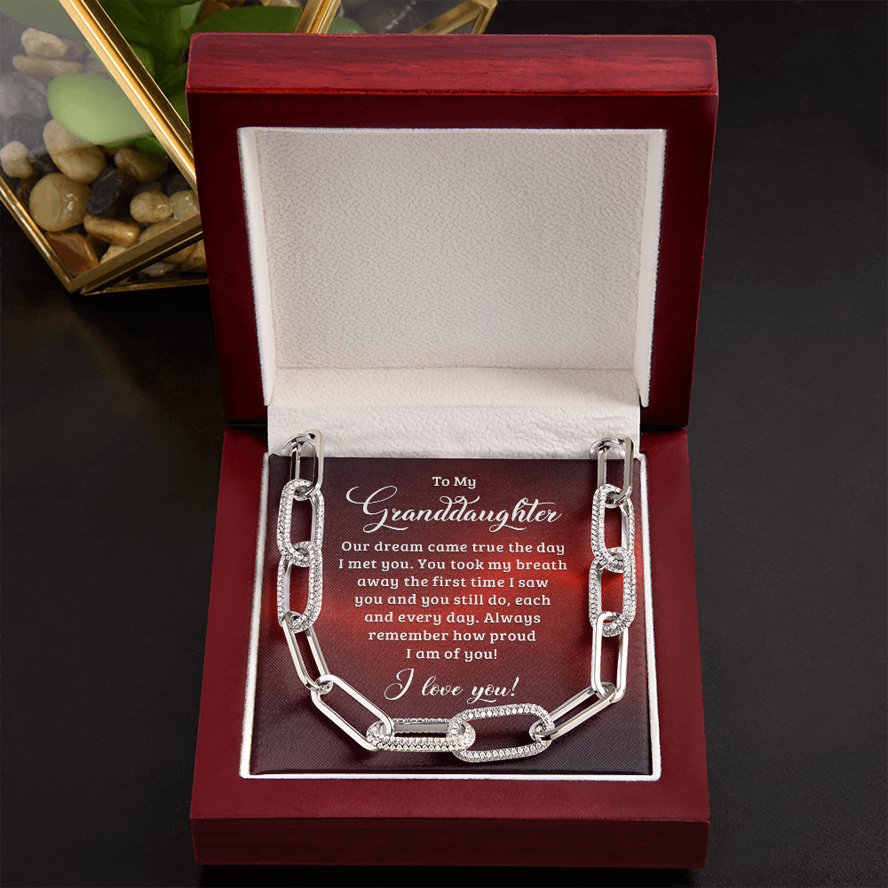 To My Granddaughter - Our dream came true the day I met you Forever Linked Necklace